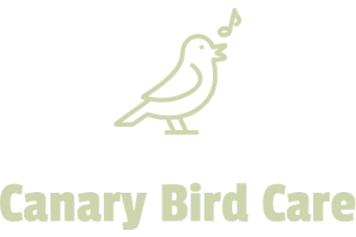 Canary Bird Care